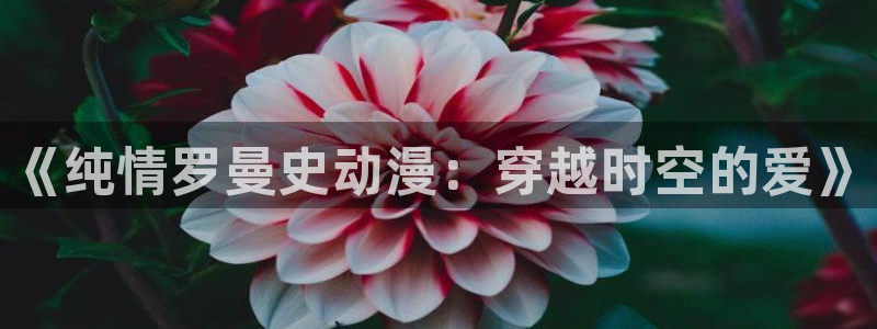 汗漫画动漫之家：《纯情罗曼史动漫：穿越时空的爱》配图
