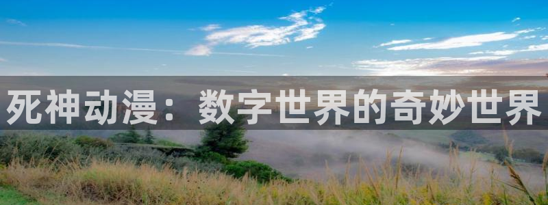 动漫之家app官网:死神动漫:数字世界的奇妙世界配图