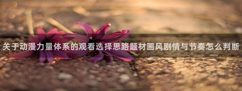 火之鸟漫画动漫之家:关于动漫力量体系的观看选择思路题材画风剧情与节奏怎么判断配图