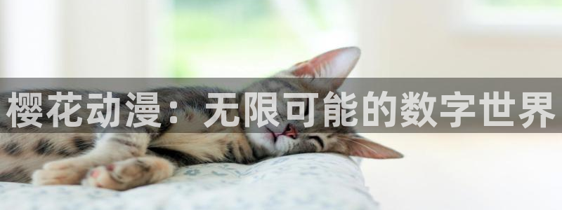 动漫之家看本地漫画:樱花动漫:无限可能的数字世界配图