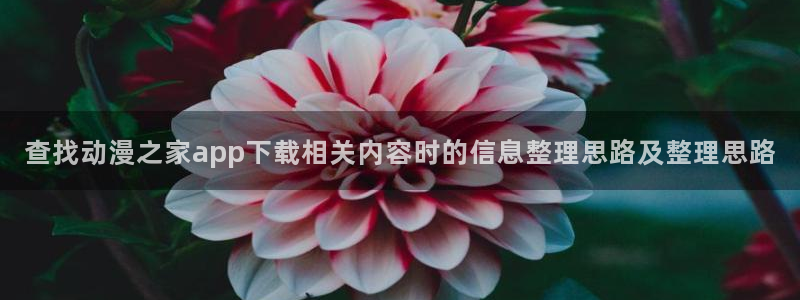 动漫之家漫画下载:查找动漫之家app下载相关内容时的信息整理思路及整理思路配图