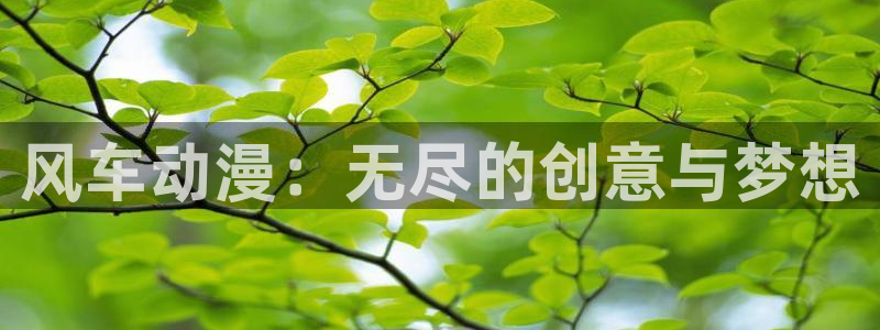虎哥动漫之家在线观看:风车动漫:无尽的创意与梦想配图